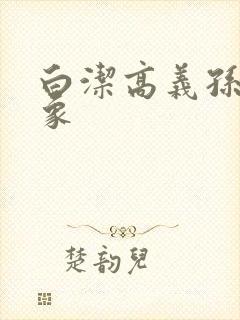 白洁高义孙倩大象