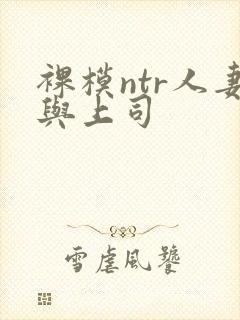 裸模ntr人妻与上司封面