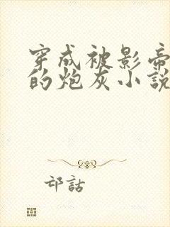 穿成被影帝抛弃的炮灰小说封面