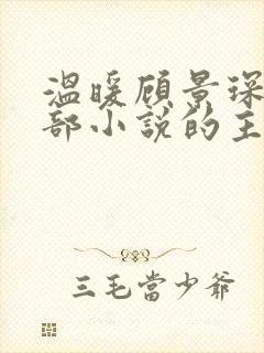 温暖顾景琛是哪部小说的主人公