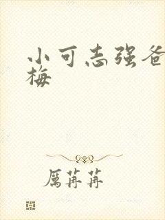 小可志强爸爸阿梅