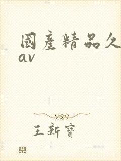 国产精品久久久av