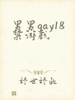 男男gay18禁游戏