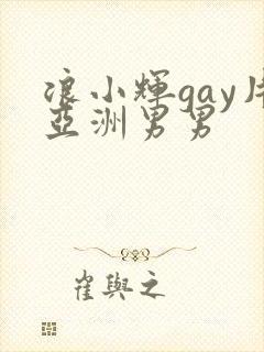 浪小辉gay片亚洲男男
