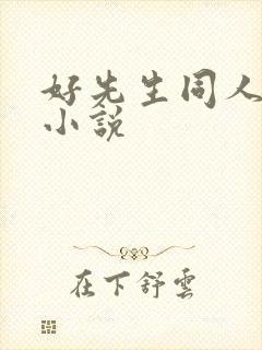好先生同人改编小说
