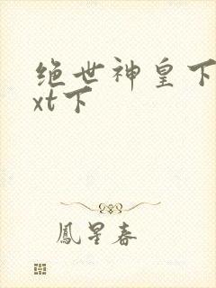 绝世神皇下载txt下封面