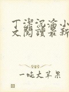 丁洁沉沦小说全文阅读最新章节更新