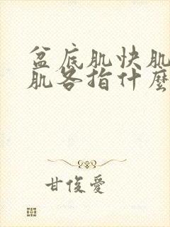 盆底肌快肌和慢肌各指什么