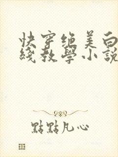 快穿绝美白莲在线教学小说在哪里看封面