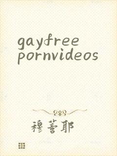 gayfreepornvideos