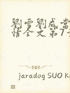 刘雪刘成当代爱情全文第7章封面