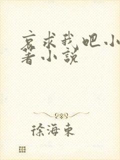 哀求我吧小说原著小说