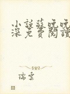 小说苏晚晚陆言深免费阅读