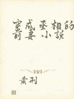 穿成丞相的炮灰前妻 小说