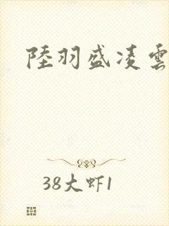 陆羽盛凌云小说