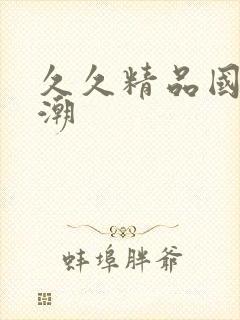 久久精品国产高潮