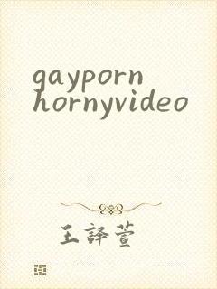 gaypornhornyvideo