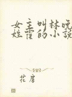 女主叫林晚男主姓霍的小说封面