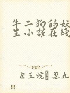 牛二狗的妖孽人生小说在线阅读