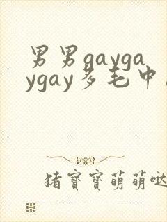 男男gaygaygay多毛中国