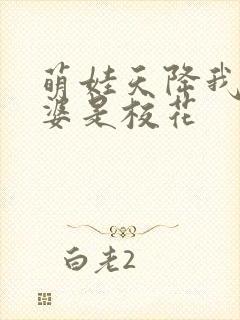 萌娃天降我的老婆是校花封面