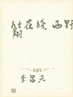 ht在线 西野翔