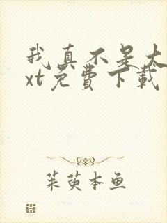 我真不是大佬txt免费下载