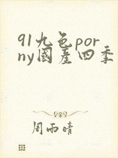 91九色porny国产四季