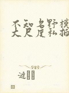 不知名野模宾馆大尺度私拍