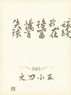 失忆后我嫁给全球首富在线小说免费阅读全文