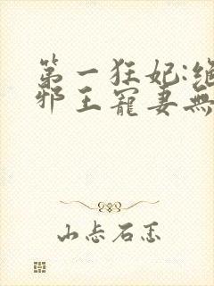 第一狂妃:绝色邪王宠妻无度