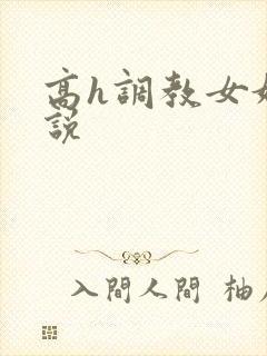 高h调教女奴小说封面