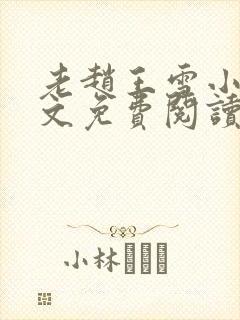 老赵王雪小说全文免费阅读