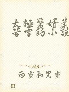 太极医婿叶凡唐若雪的小说