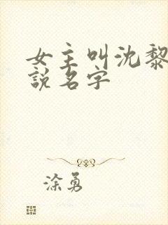 女主叫沈黎的小说名字