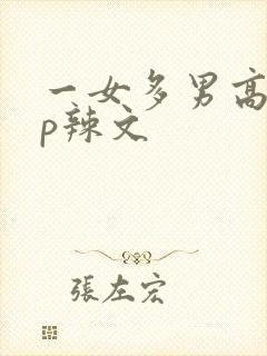 一女多男高hnp辣文