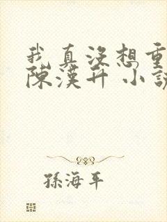 我真没想重生啊陈汉升 小说封面