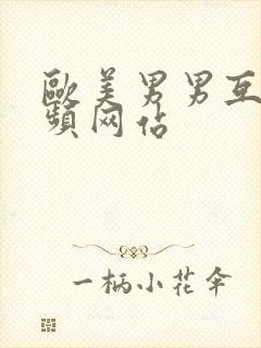 欧美男男互操视频网站