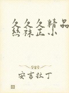 久久久精品国产丝袜正小