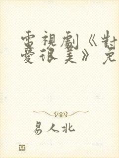 电视剧《对你的爱很美》免费观看