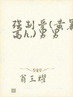 强制爱(黄暴,高h,)男男