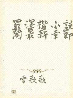 罗泽楷小说笔趣阁最新章节封面