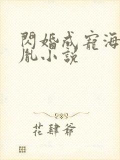 闪婚成宠海彤战胤小说