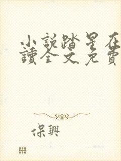 小说踏星在线阅读全文免费