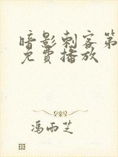 暗影刺客第八季免费播放