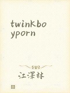 twinkboyporn封面