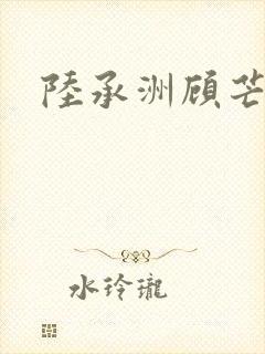 陆承洲顾芒江寻封面