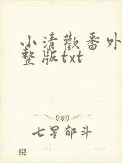 小清欢番外篇完整版txt