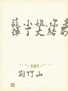 苏小姐,你老公掉了大结局