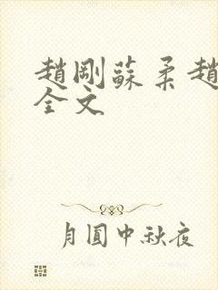 赵刚苏柔赵刚林全文封面